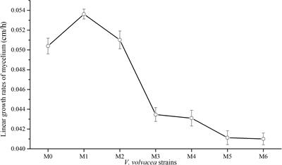 Characteristics Analysis Reveals the Progress of Volvariella volvacea Mycelium Subculture Degeneration